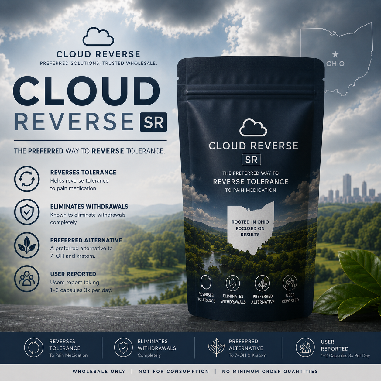 Cloud Reverse SR